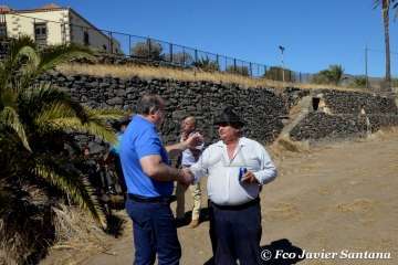 Muestra de ganado de las fiestas del patrono de Telde (Foto  Francisco Javier Santana)